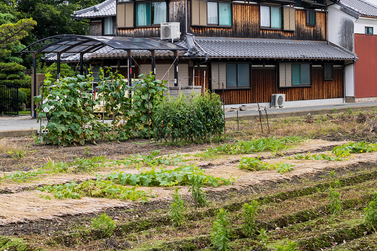 賃借人以外が土地を使っていたら